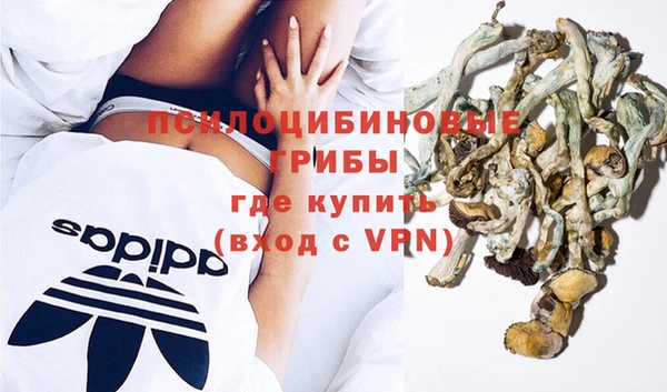 ECSTASY Алексин