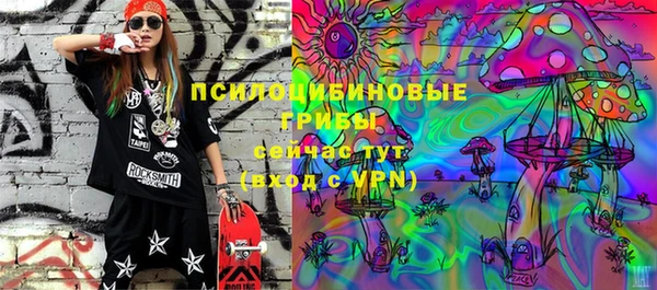 ECSTASY Алексин